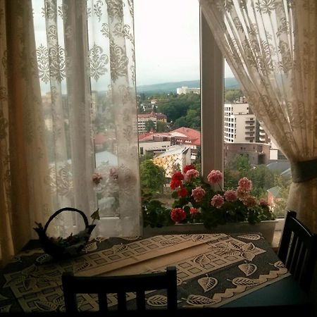 Sunny Apartment In The City Center Truskavets Dış mekan fotoğraf